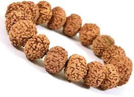 9 Mukhi (Nepali) Rudraksha Bracelet