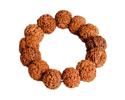 5 Mukhi (Nepali) Rudraksha Bracelet