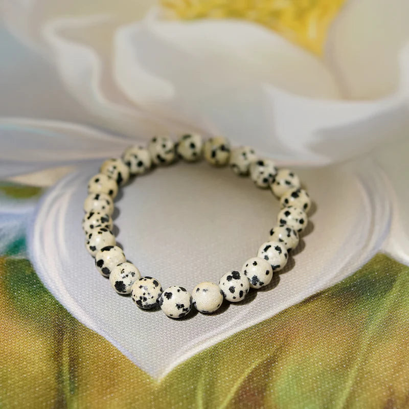 Dalmatian Jasper Bracelet