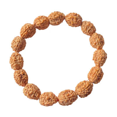 4 Mukhi (Indonesia) Rudraksha Bracelet