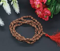 2 Mukhi Rudraksha Mala Indonesia