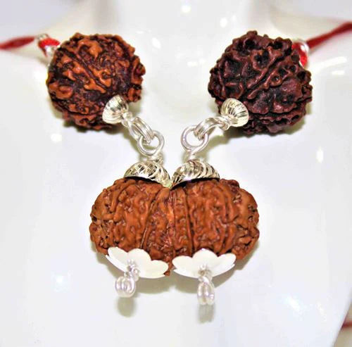 Rudraksha For Marriage