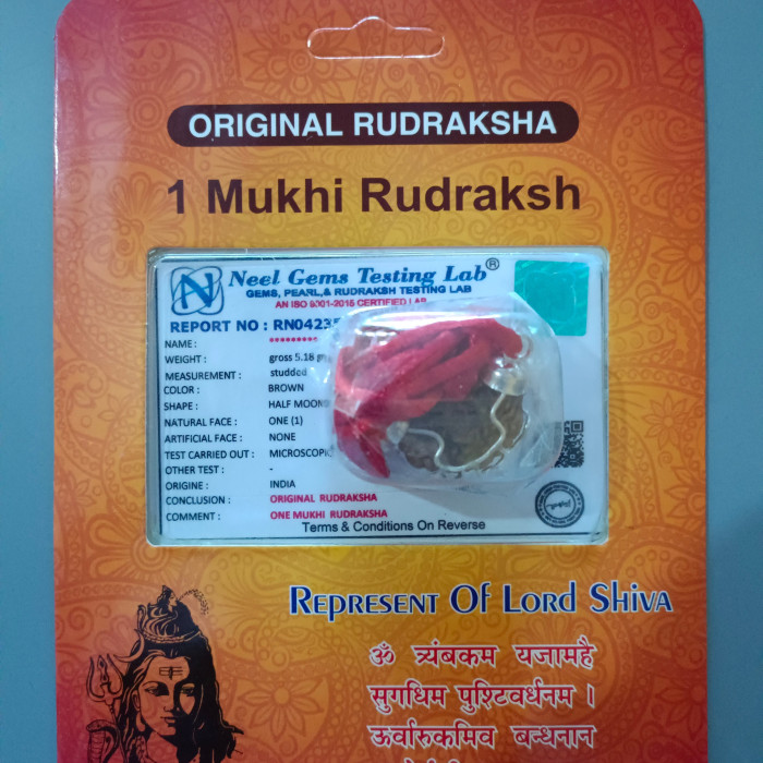 1 Mukhi Rudraksha Pendant