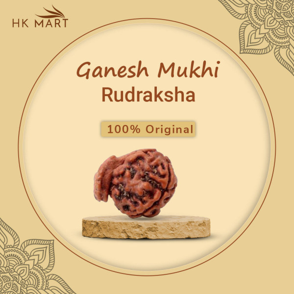 Ganesh Mukhi Rudraksha(Nepal)