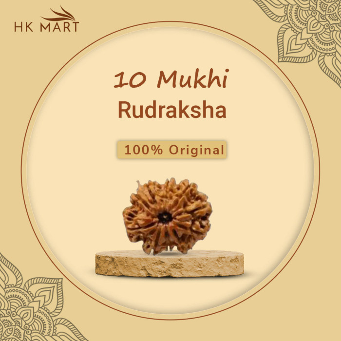 10 Mukhi Rudraksha Original (Nepal)