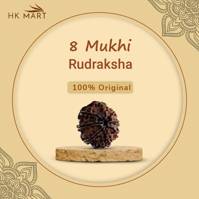8 Mukhi Rudraksha Original Nepali (8 Mukhi Rudraksha)