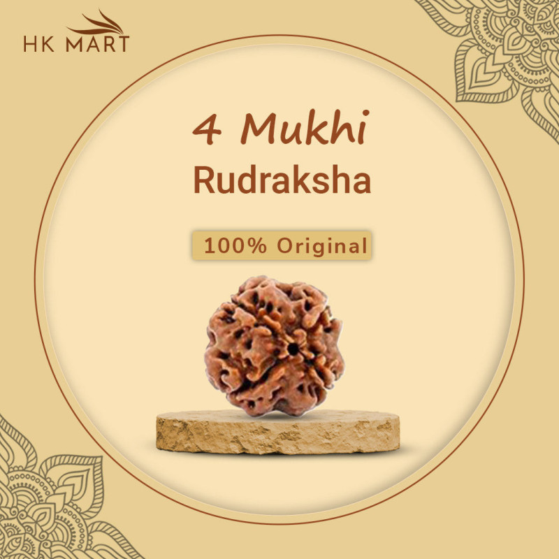 4 Mukhi Rudraksha (Nepal)