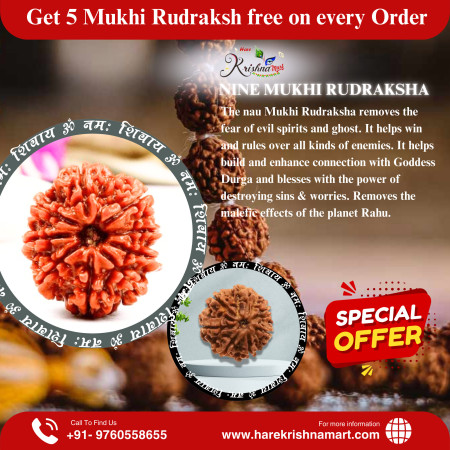9 Mukhi Rudraksha Original (Nepal)