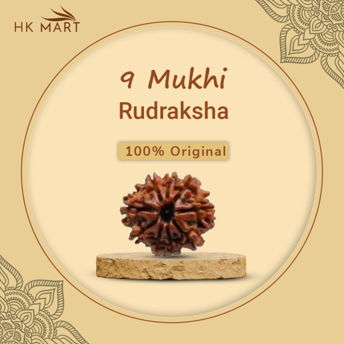 9 Mukhi Rudraksha Original (Nepal)
