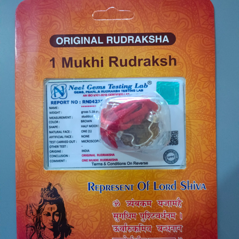 Buy Ek Mukhi Rudraksha Original